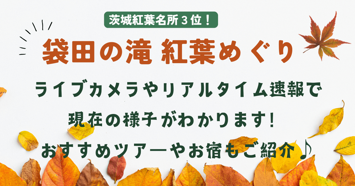 袋田の滝　紅葉　ライブカメラ　見ごろ　リアルタイム　現在　混雑　ツアー　ホテル　温泉宿